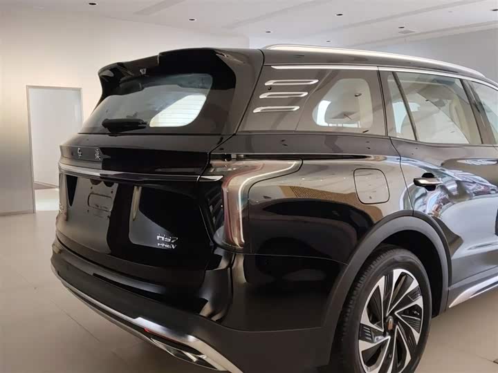 Фото 7 - Hongqi HS7 Hybrid