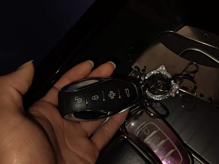 Фото 9 - Hongqi HS7 Hybrid