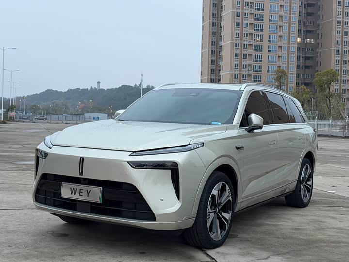 Фото 1 - Wey Lanshan