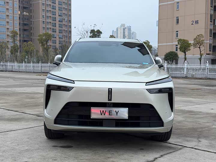 Фото 2 - Wey Lanshan