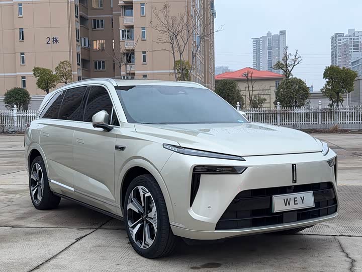 Фото 3 - Wey Lanshan