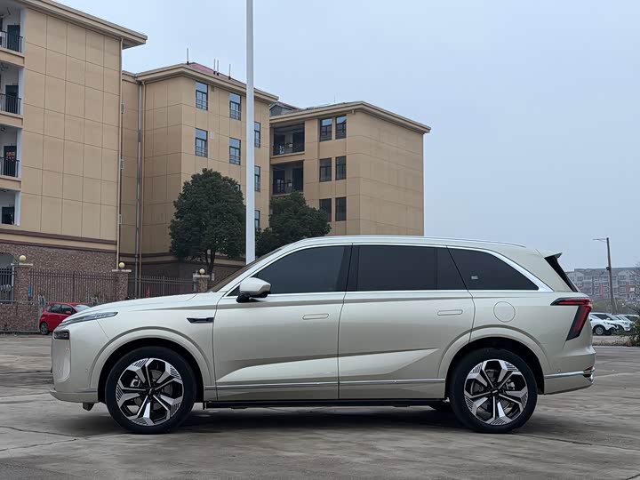 Фото 4 - Wey Lanshan