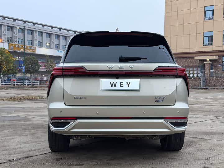 Фото 5 - Wey Lanshan