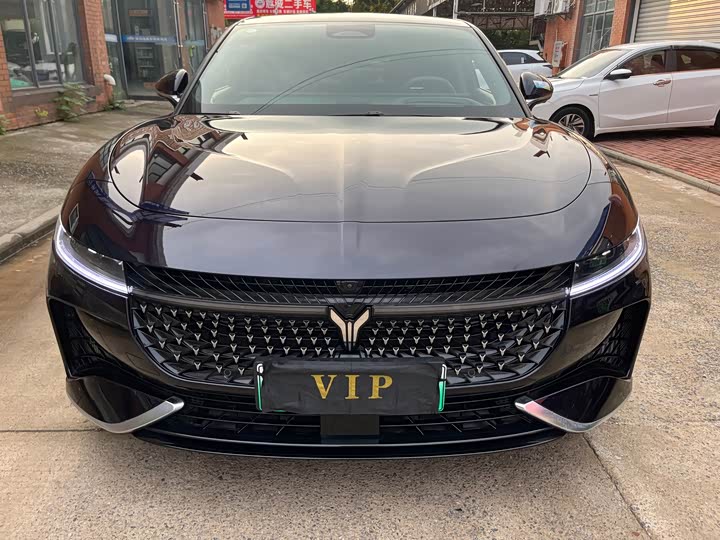 Фото 2 - Voyah Passion