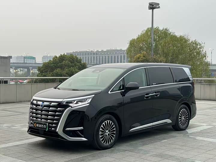 Фото 1 - Denza D9