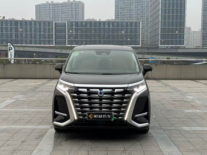 Фото 2 - Denza D9