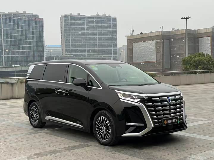 Фото 3 - Denza D9