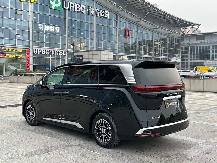 Фото 4 - Denza D9