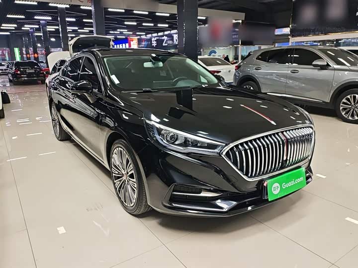 Фото 4 - Hongqi H5