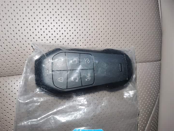 Фото 9 - XPeng X9