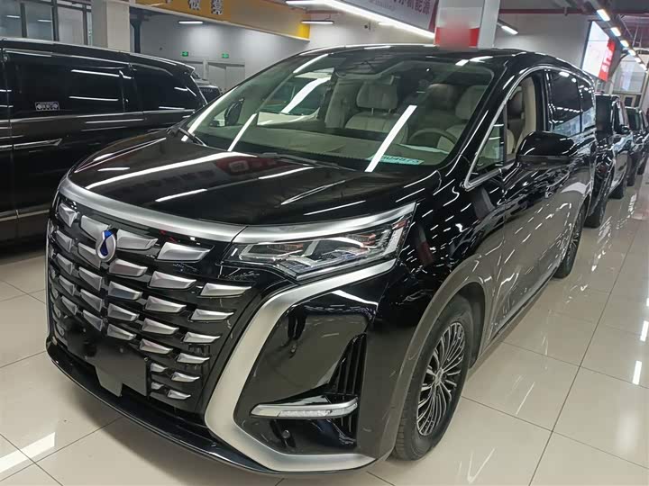 Фото 2 - Denza D9