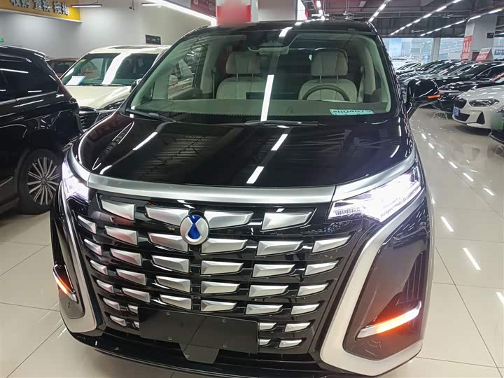 Фото 3 - Denza D9