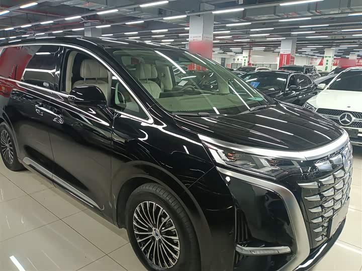 Фото 4 - Denza D9