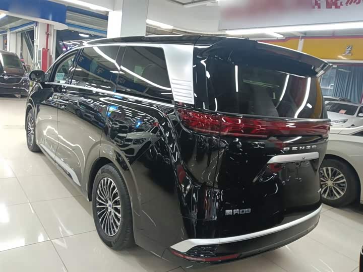 Фото 5 - Denza D9