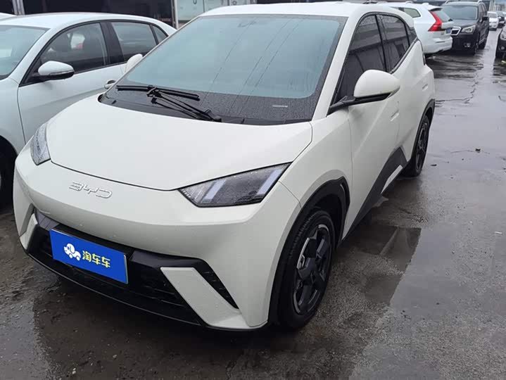 Фото 1 - BYD Seagull