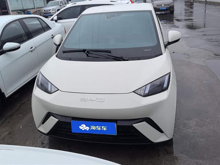 Фото 2 - BYD Seagull