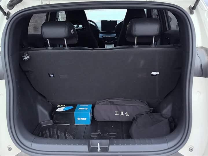 Фото 4 - BYD Seagull