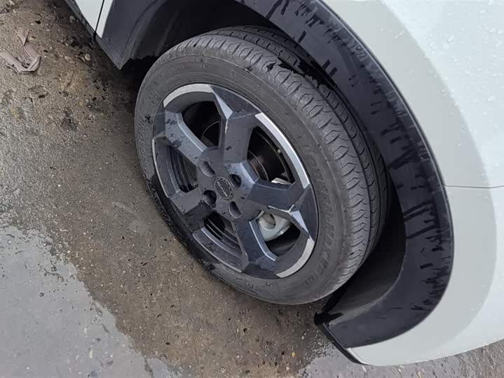 Фото 6 - BYD Seagull