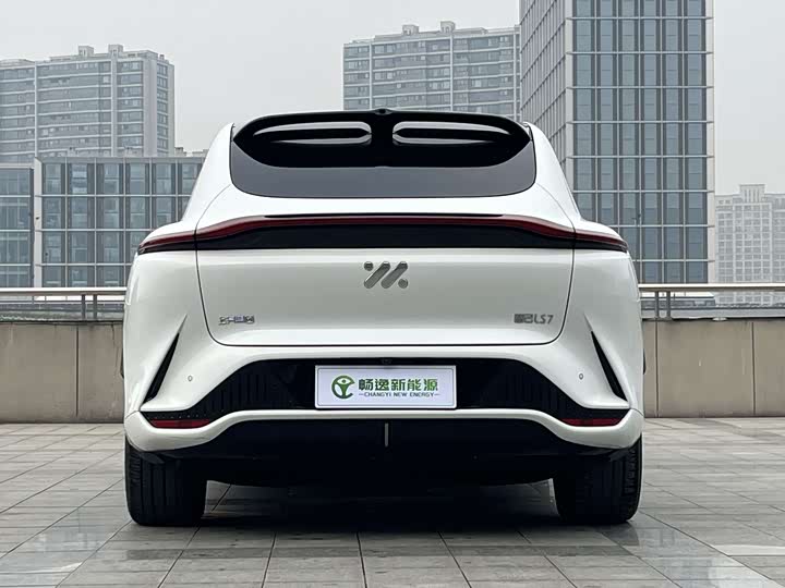 Фото 5 - IM motors LS7