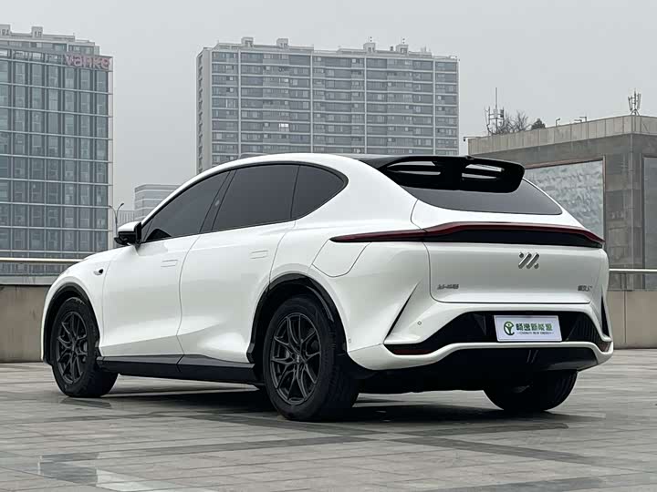 Фото 6 - IM motors LS7