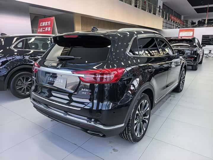 Фото 2 - Hongqi HS5