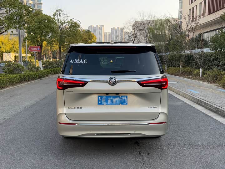 Фото 5 - Buick GL8 ES