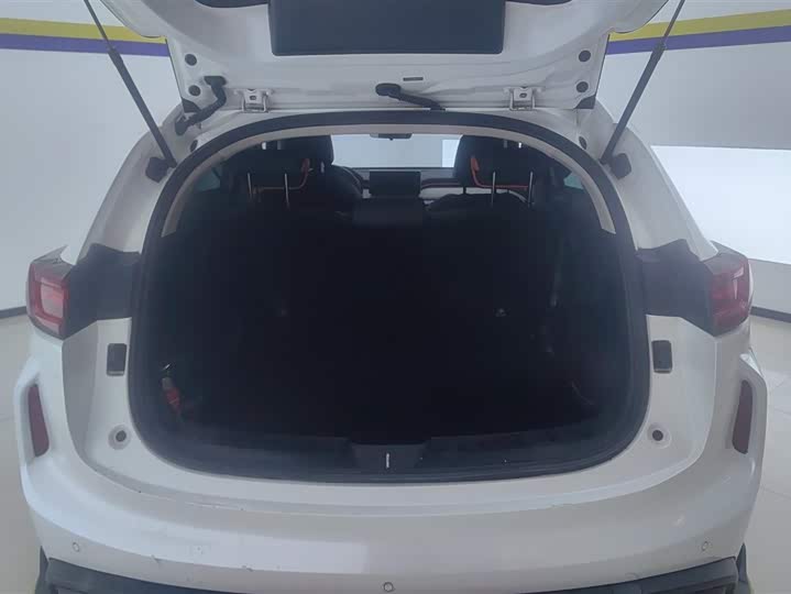 Фото 4 - Haval Chitu