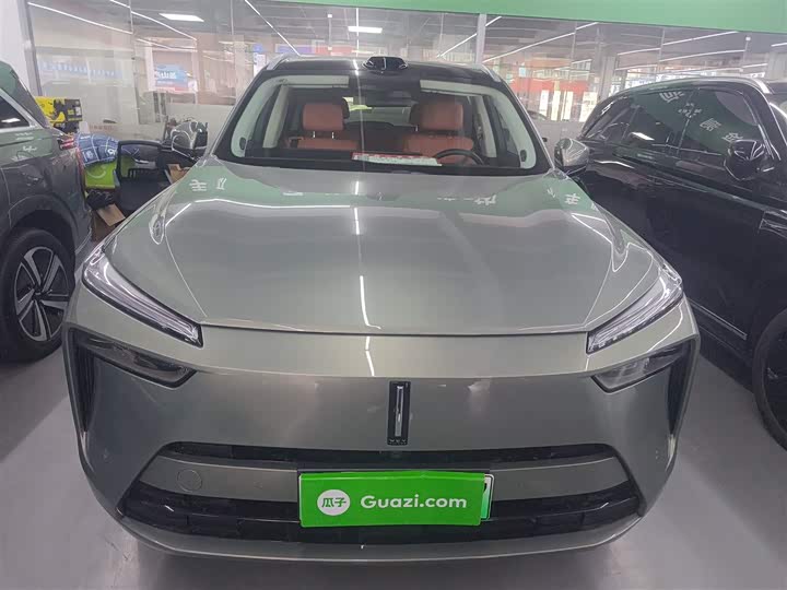 Фото 3 - Wey Lanshan