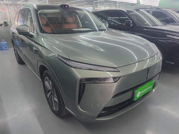 Фото 4 - Wey Lanshan