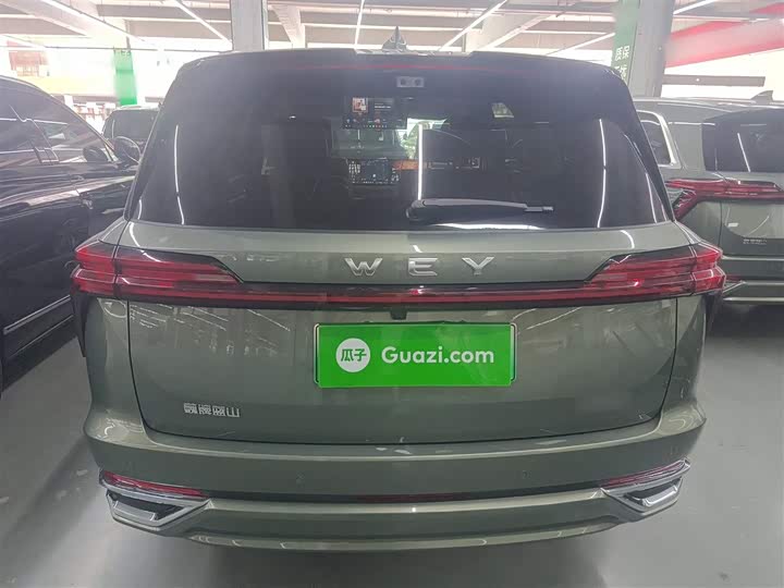 Фото 6 - Wey Lanshan