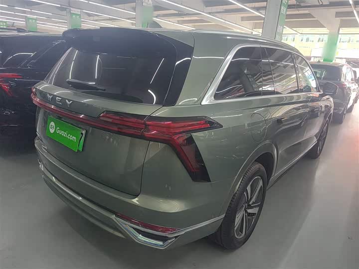 Фото 7 - Wey Lanshan