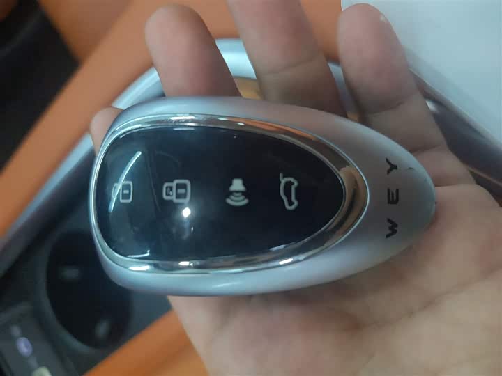 Фото 9 - Wey Lanshan