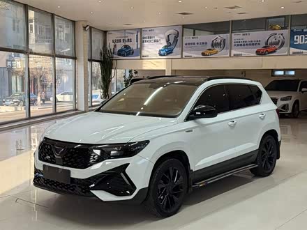 Фото 1 - Jetta VS5