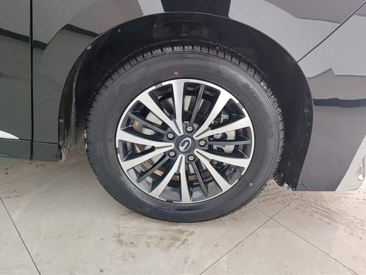 Фото 6 - GAC Trumpchi M8