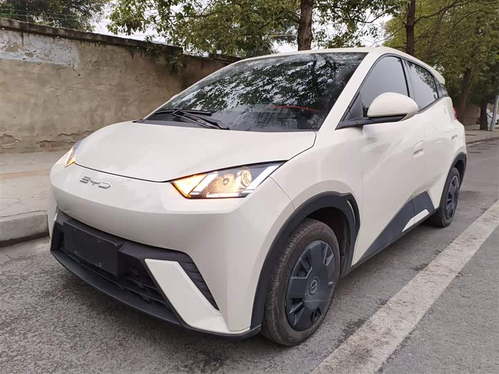 Фото 2 - BYD Seagull