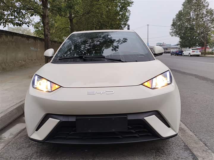 Фото 3 - BYD Seagull