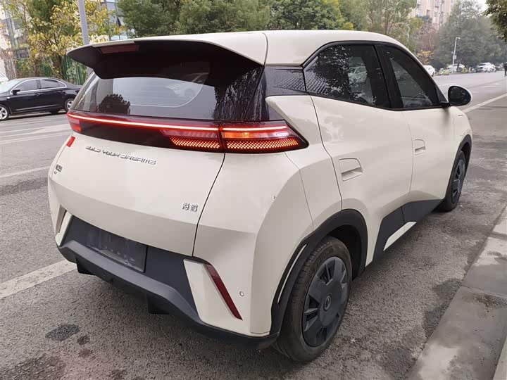 Фото 7 - BYD Seagull