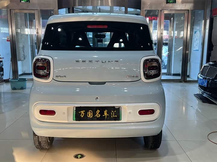 Фото 4 - Bestune Pony