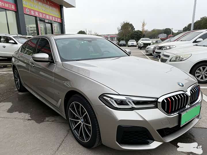 Фото 3 - BMW 5 Series Hybrid