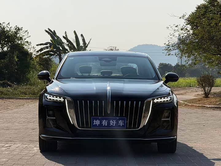 Фото 2 - Hongqi H5
