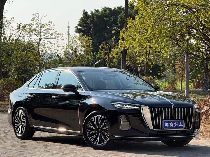 Фото 3 - Hongqi H5