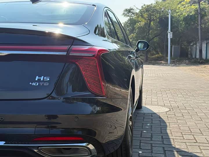 Фото 9 - Hongqi H5