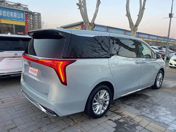 Фото 4 - Buick GL8 Century