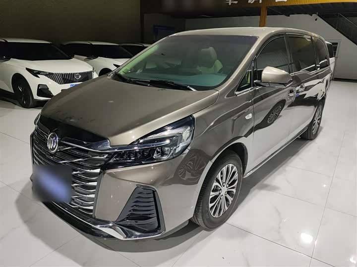 Фото 2 - Buick GL8 ES