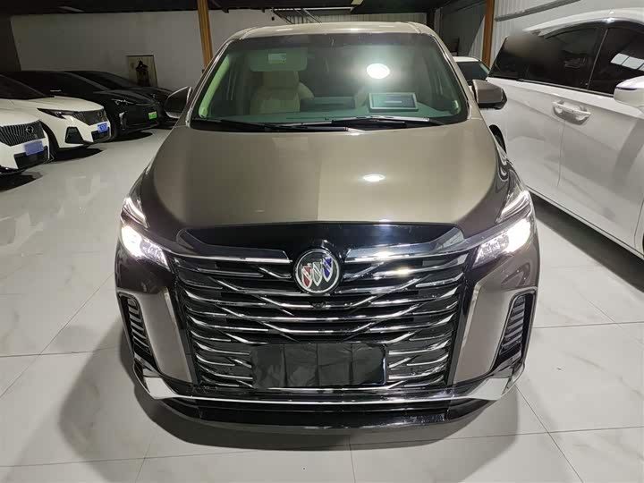 Фото 3 - Buick GL8 ES