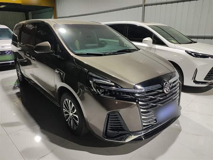 Фото 4 - Buick GL8 ES