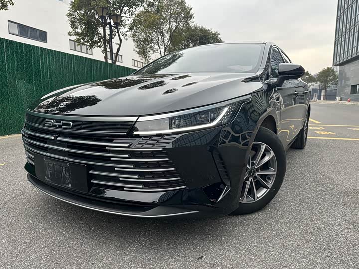 Фото 1 - BYD Destroyer 05