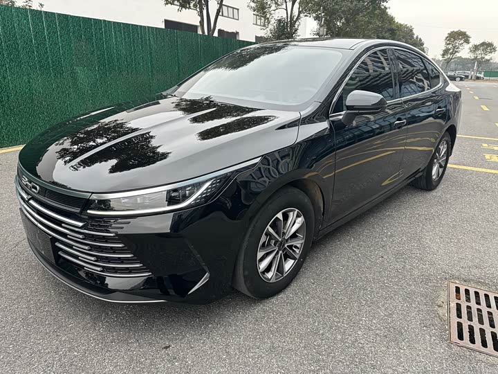 Фото 3 - BYD Destroyer 05