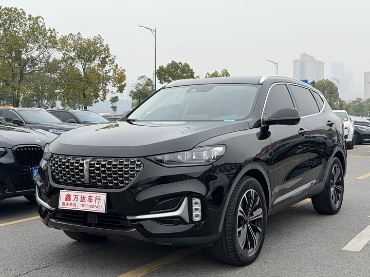 Фото 1 - Wey VV6