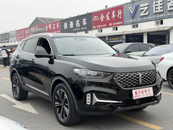 Фото 3 - Wey VV6